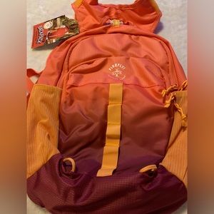 Firefly backpack! Ombré colors! Tons of features!